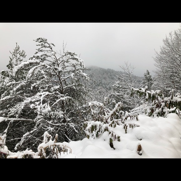 Meet your Posher, Tamera - Picture 1 of 1